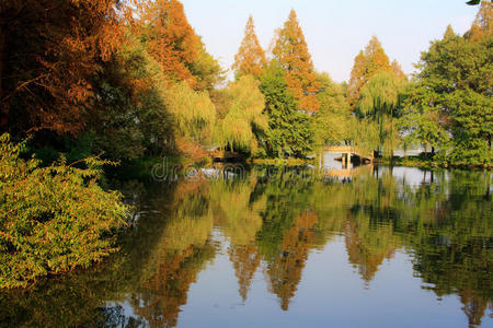 西湖风景。杭州。中国。