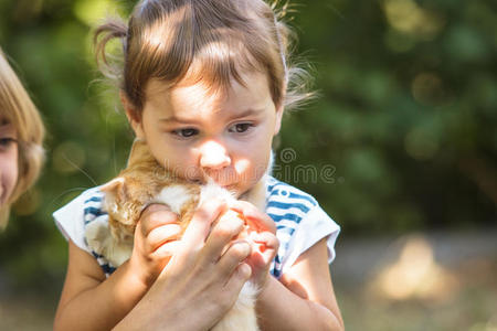 女孩和小猫玩