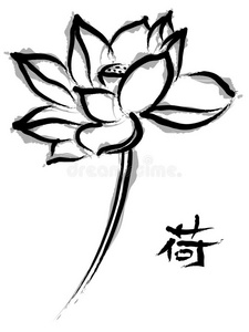 中国画中的荷花照片