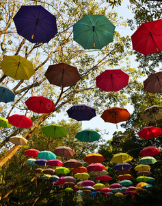 雨伞装饰的公园图片