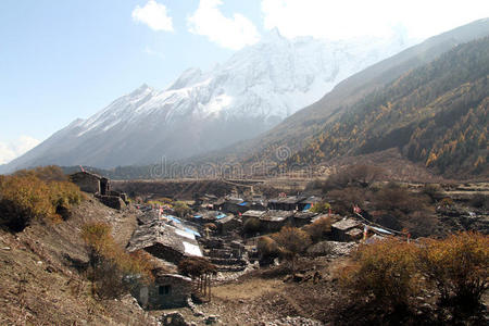 目的地 土地 小山 尼泊尔 萨满 情景 风景 灌木 山谷