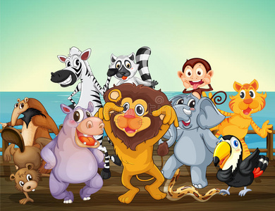 海港的一群动物照片