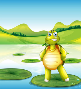 池塘边站在睡莲上的乌龟