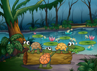 池塘边有海龟和鱼的森林