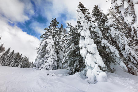 雪山冬季景观