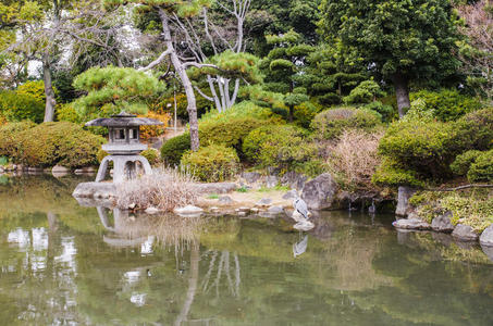 自然 公园 花园 岩石 旅游 季节 反射 建造 天空 大阪