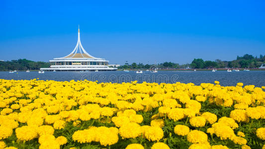 树叶 环境 城市景观 土地 出口 慢跑 建筑学 风景 城市