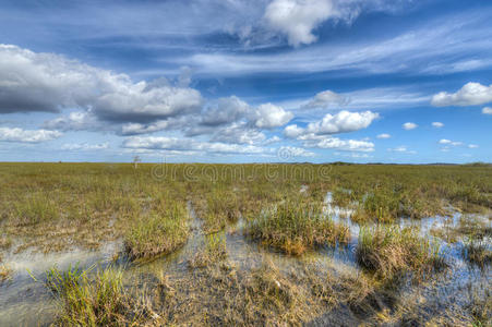 佛罗里达大沼泽风景区图片
