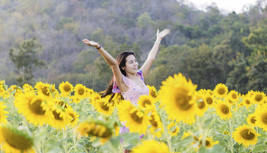 向日葵美人