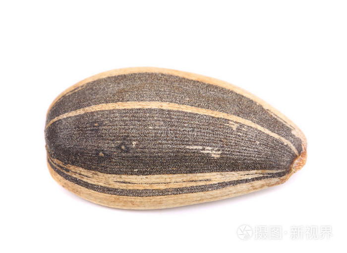 下载小样发票合同问题/举报白底葵花籽一颗向日葵籽白底葵花籽白底