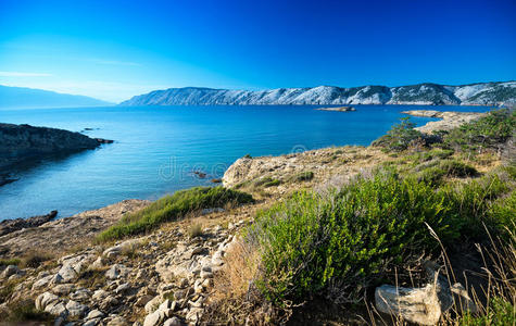 海湾 罗帕 海岸 自然 海岸线 假日 克罗地亚 风景 海滩