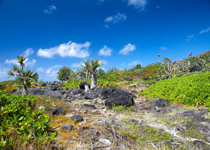 毛里求斯。阳光明媚的岛上石质景观