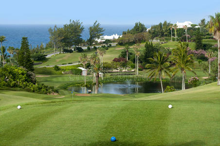 绿色的高尔夫球场和蓝天。