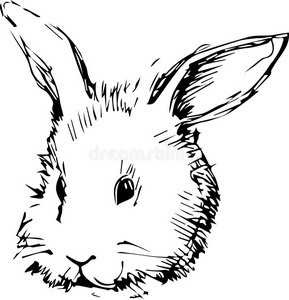 长耳朵兔子的形象