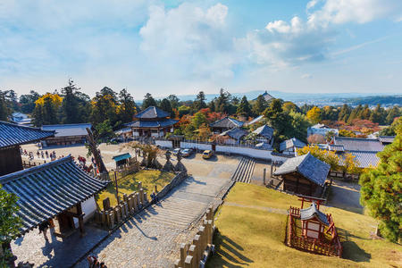 东大寺 大厅 旅行者 遗产 日本 寺庙 建筑 吸引力 关西