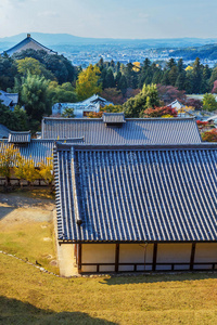 寺庙 大厅 京都 佛教 东大寺 亚洲 观光 吸引力 旅行