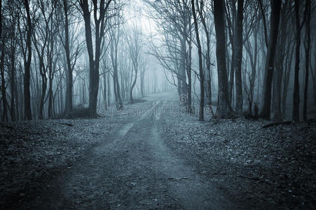 阴森的森林里冰雪覆盖的黑暗森林里的雪夜晚穿过黑暗森林的光明之路在