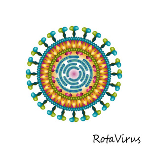 轮状病毒颗粒结构