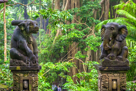 猴子森林ubud巴厘岛印度尼西亚。