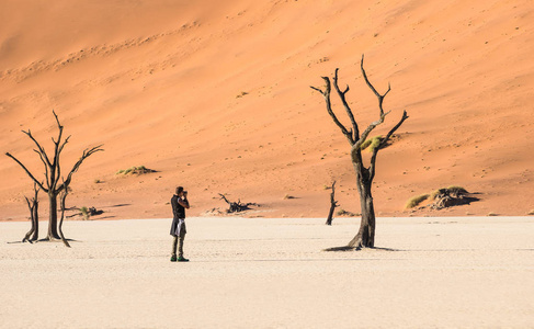 孤独的冒险旅行摄影师在 Deadvlei 火山口在索苏斯维雷疆土纳米比亚世界著名沙漠流浪概念与非洲自然奇观与独特的狂放的风景