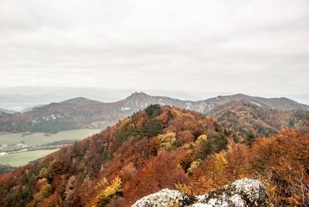 五颜六色的森林和岩石的秋天山