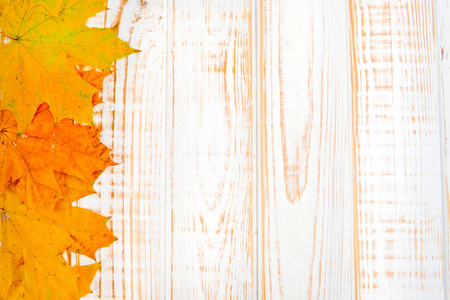 纹理复古质朴的白色木背景与秋天的黄色叶子与复制空间