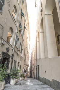 热那亚市中心的街道小巷图片