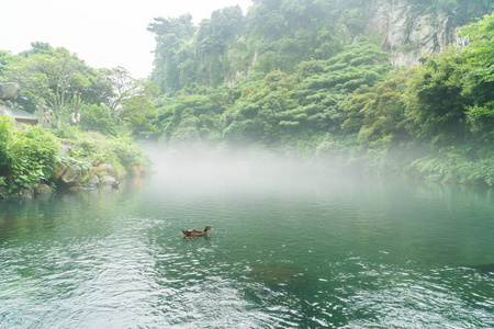 在济州岛天地渊瀑布公园花园图片