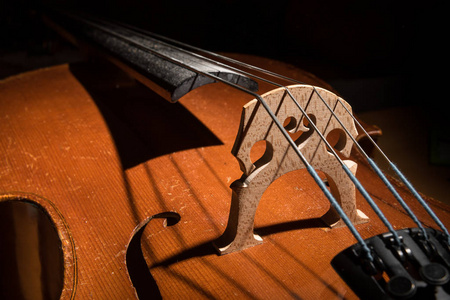 细节的小大提琴弦和身体