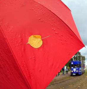 街道上的红色雨伞图片