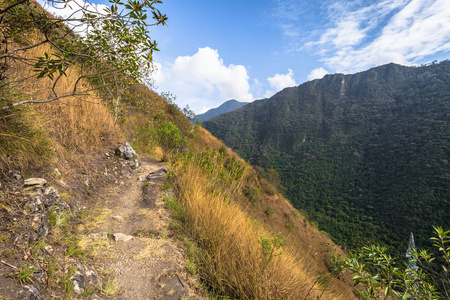秘鲁印加小径2017年8月03日秘鲁印加小径的野生景观