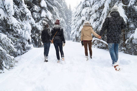 朋友小组雪森林年轻人散步室外