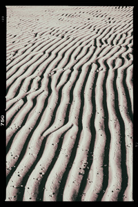 澳大利亚维特桑第海滩白沙岛及其抽象纹理