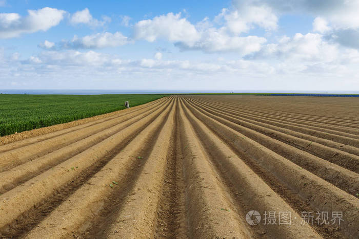 为在法国诺曼底种植庄稼而耕种的农田。田园风光多云, 春季农田。环境友好型农业与工农业概念