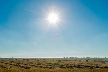 在法国诺曼底的一个晴朗的日子, 收割后的稻草包的黄色麦田。乡村风光与阳光在蓝天下, 农田在夏天。工业农业概念