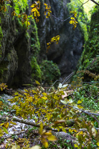 美丽的风景，与峡谷