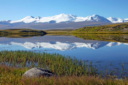 风景大草原海岸湖与高山范围与雪冰川冰, Ukok 高原, 阿尔泰, 西伯利亚, 俄国