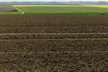 春天把土壤种在农田上。土壤纹理背景