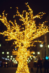 圣诞节装饰品在街道, 五颜六色的假日散灯