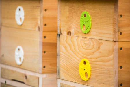 木制蜂箱。与蜜蜂的蜂巢