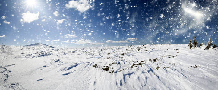 在山上的雪路径