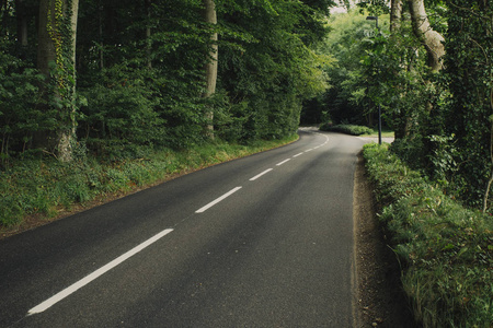 在法国诺曼底地区, 空旷的乡村柏油路穿过绿色森林。自然乡村景观交通与路网理念