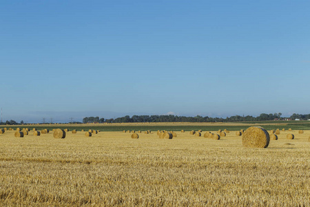 在法国诺曼底的一个晴朗的日子, 收割后的稻草包的黄色麦田。乡村景观, 农田在夏季。环境友好农业工业农业概念