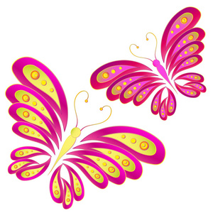 色彩鲜艳的粉红色蝴蝶在白色背景下分离出来