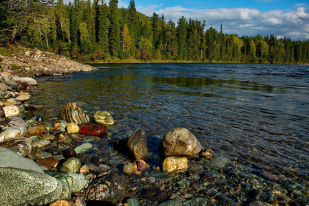 西伯利亚山区河流的石头