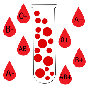 不同类型的血液