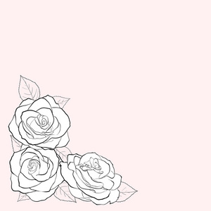手绘创意玫瑰花三朵玫瑰花的简单黑白矢量插图照片