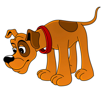 好奇的看门图片