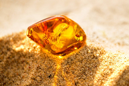 波罗的海的琥珀色宏图片