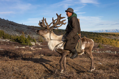 骑驯鹿的老蒙古人照片